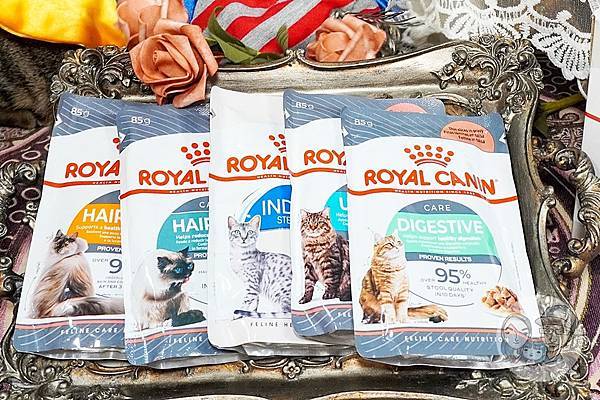 ROYAL 法國皇家 歐洲進口 貓咪專用濕糧DSC031151-2.jpg