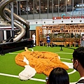 DSC05631.JPG