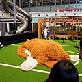 DSC05636.JPG