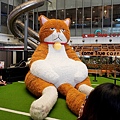 DSC05663.JPG