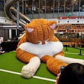 DSC05654.JPG