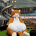 DSC05670.JPG