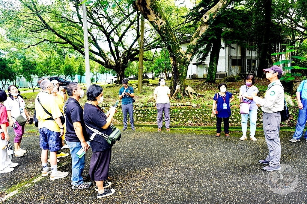 台中活動木醋達人東勢林業園區推廣活動DSC03321-2.jpg