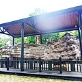 台中活動木醋達人東勢林業園區推廣活動DSC03354-2.jpg