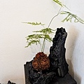 台中活動木醋達人東勢林業園區推廣活動DSC03447-2.jpg