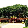 台中最貴廟宇惠來里福德祠DSC05137-2.jpg