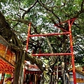台中最貴廟宇惠來里福德祠DSC05146-2.jpg