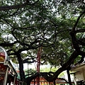 台中最貴廟宇惠來里福德祠DSC05157-2.jpg