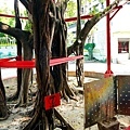 台中最貴廟宇惠來里福德祠DSC05158-2.jpg