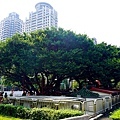 台中最貴廟宇惠來里福德祠DSC05173-2.jpg