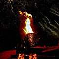 IMG_7962NEW.JPG