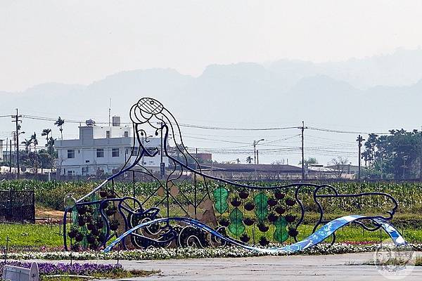 台中活動2023新社花海暨臺中國際花毯節DSC08334-2.jpg