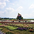台中活動2023新社花海暨臺中國際花毯節DSC08338-2.jpg
