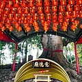 台中景點新社水頭神木意德廟福德正神DSC08562-2.jpg