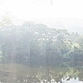 台中景點新社夢幻湖雙翠潭水尾神木DSC08510-2.jpg