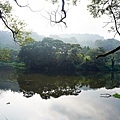 台中景點新社夢幻湖雙翠潭水尾神木DSC08514-2.jpg