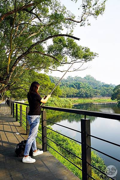 台中景點新社夢幻湖雙翠潭水尾神木DSC08533-2_副本.jpg