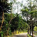 台中景點新社夢幻湖雙翠潭水尾神木DSC08538-2.jpg