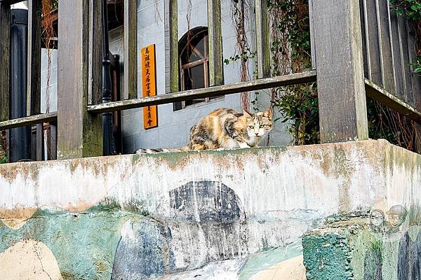 馬祖境天后宮媽祖靈穴媽祖巨神像DSC07297-2.jpg