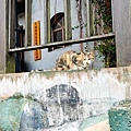 馬祖境天后宮媽祖靈穴媽祖巨神像DSC07297-2.jpg