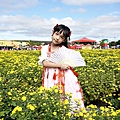 DSC005231_副本.jpg