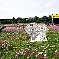 苗栗銅鑼活動杭菊芋頭菊內人DSC00449-2.jpg