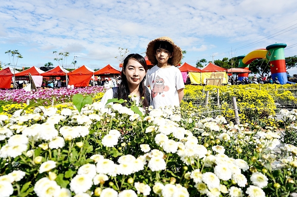 苗栗銅鑼活動|2023銅鑼杭菊芋頭節，賞花、拍恐龍花海、逛市