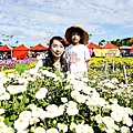 苗栗銅鑼活動杭菊芋頭菊內人DSC00473-3_副本.jpg
