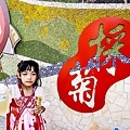 苗栗銅鑼活動杭菊芋頭菊內人DSC00572-2.jpg