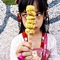 苗栗銅鑼活動杭菊芋頭菊內人DSC00575-2.jpg