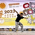 苗栗銅鑼活動杭菊芋頭菊內人DSC00586-2.jpg