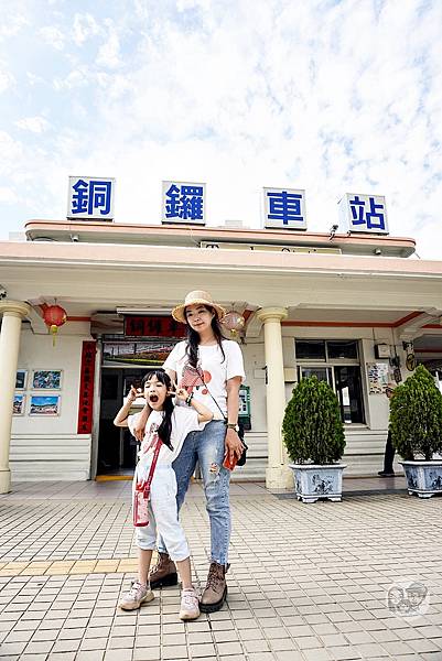 苗栗銅鑼活動杭菊芋頭菊內人DSC00652-2_副本.jpg