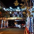 台中東區lalaoort迪士尼100奇幻慶典DSC02661-2.jpg