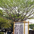 台中新景點國家漫畫博物館籌備處DSC01399-2.jpg