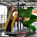 台中景點中社花海DSC05049-3.jpg