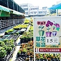 台中景點中社花海DSC04804-3.jpg