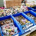 台中景點中社花海DSC05046-3.jpg