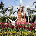 台中景點中社花海DSC04841-3.jpg