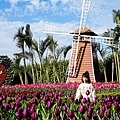 台中景點中社花海DSC04852-3.jpg