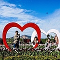 台中景點中社花海DSC04860-3.jpg