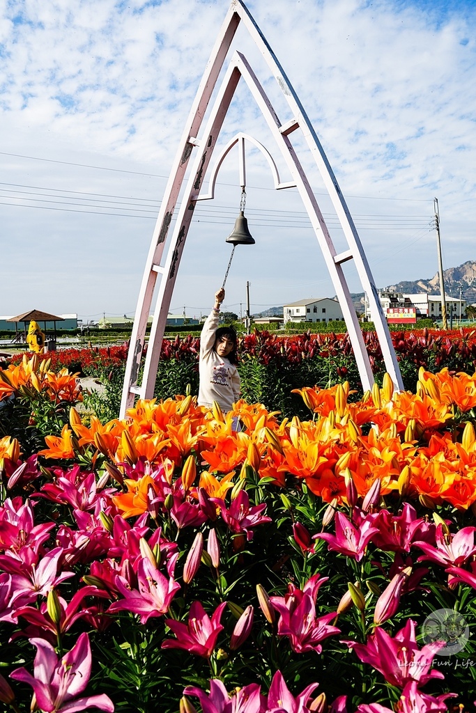 台中景點中社花海DSC04878-3.jpg