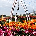 台中景點中社花海DSC04878-3.jpg