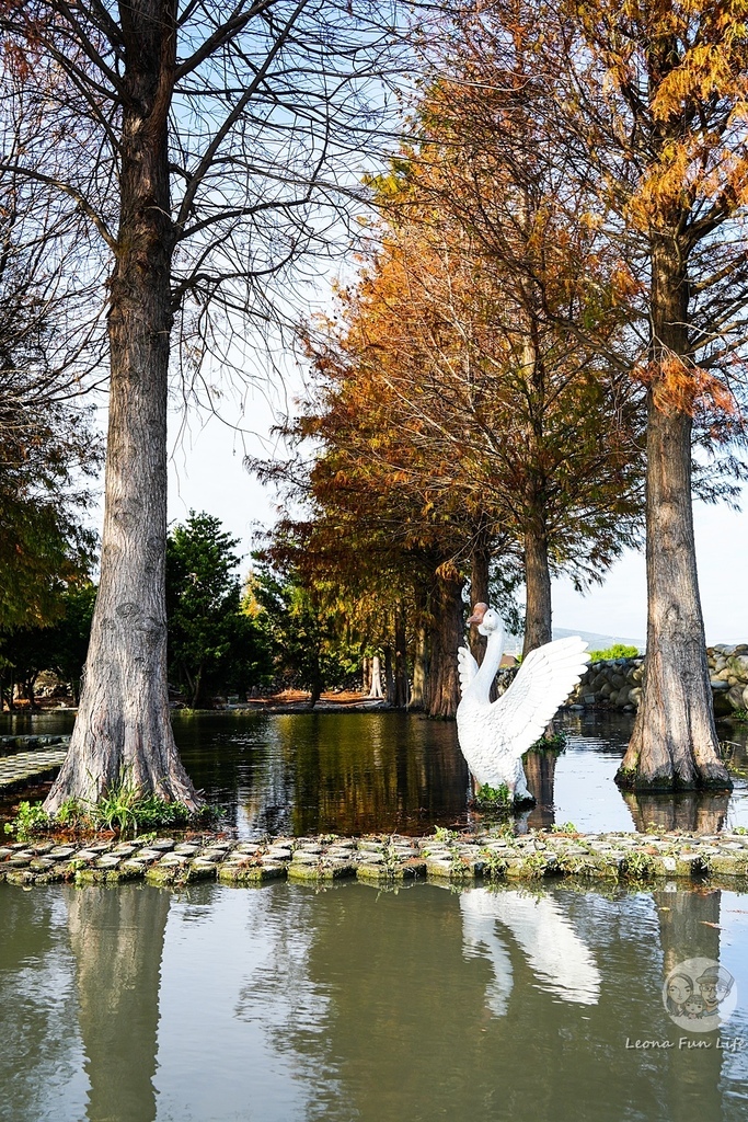 台中景點中社花海DSC04962-3.jpg