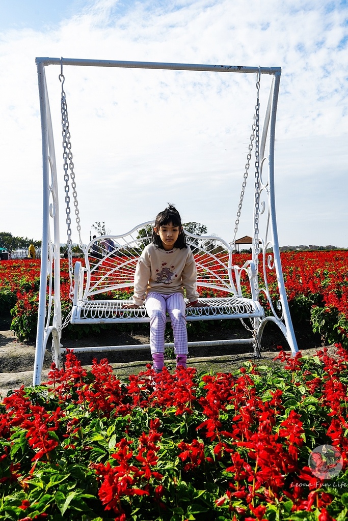 台中賞花景點|中社觀光花市-歐式花園賞鬱金香花海、落雨松，門