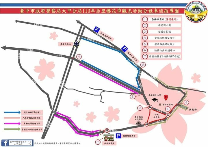 2024 泰安櫻花季|全台最美的派出所櫻花綻放大開中，還有能