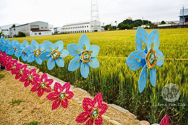 2024 台中大雅小麥文化節DSC08132-2.jpg