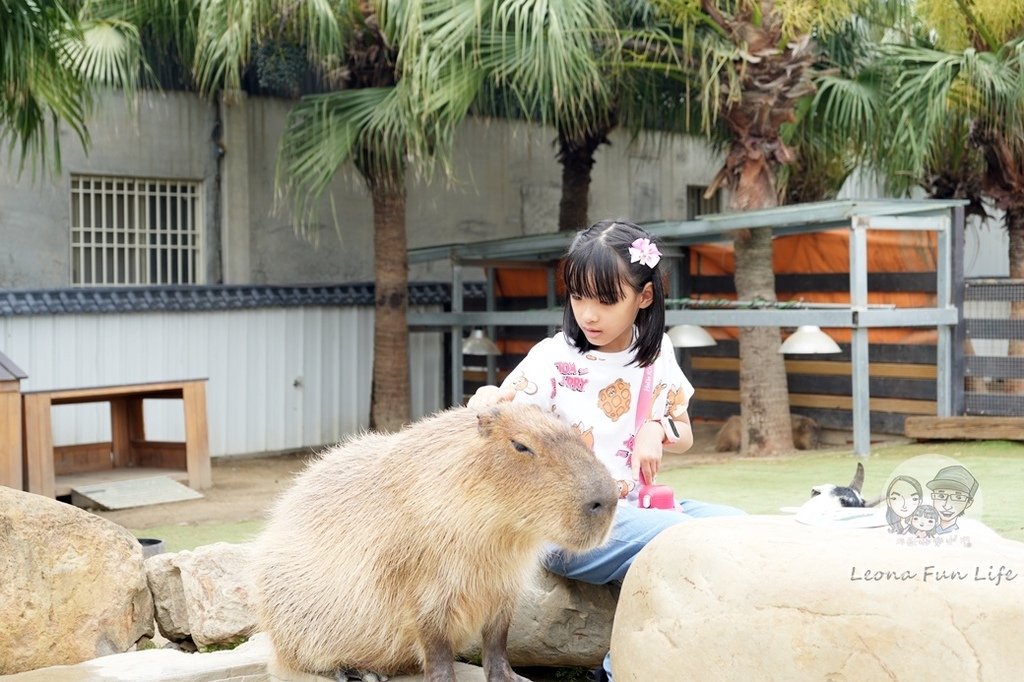 新竹親子景點廢物媽媽親子農場DSC01902.JPG