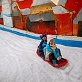 DSC09434-2.jpg