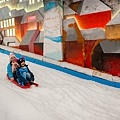 DSC09501-2.jpg