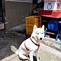 DSC09954.JPG